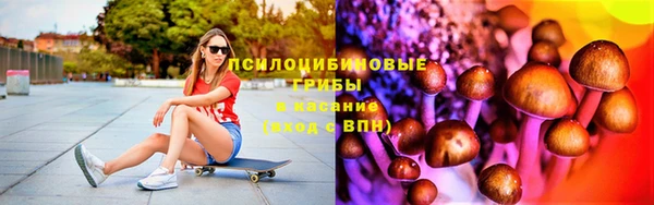 мдпв Лабытнанги