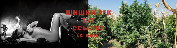 герыч Лагань
