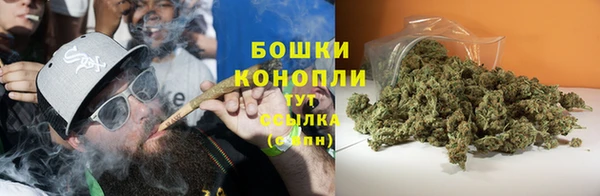 мдпв Лабытнанги