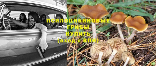винт Ладушкин