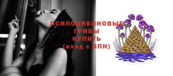 винт Ладушкин