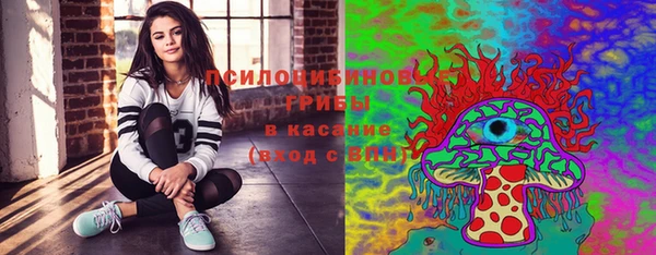 винт Ладушкин