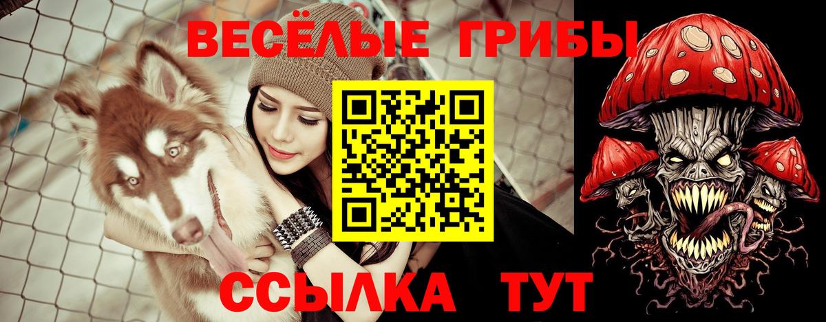 Ачинск  Галлюциногенные грибы GOLDEN TEACHER  Вход с VPN 